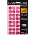 Sunburst Systems Labels Pink Pre-Priced 1000 Count 7035